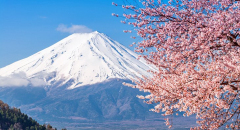 Bắt trọn khoảnh khắc Núi Phú Sĩ hùng vĩ từ những địa điểm đẹp nhất Nhật Bản