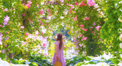 Trải nghiệm &quot;mùa hè rực rỡ&quot; tại Vườn hoa hồng Anh Yokohama